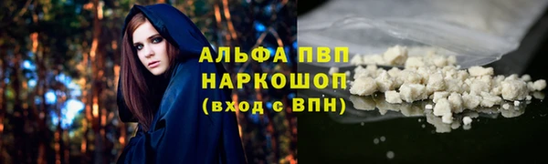 гашик Алексин