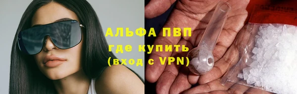 прущие грибы Аркадак