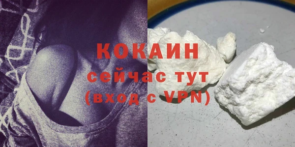 прущие грибы Аркадак