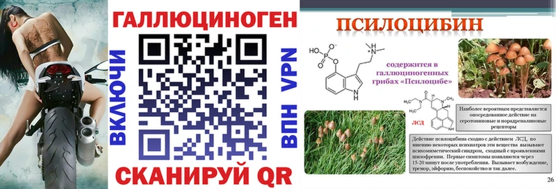 Галлюциногенные грибы Psilocybe  Байкальск 